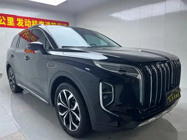 Hongqi HS 7 2023 2.0 T AT 4 WD — фото 1