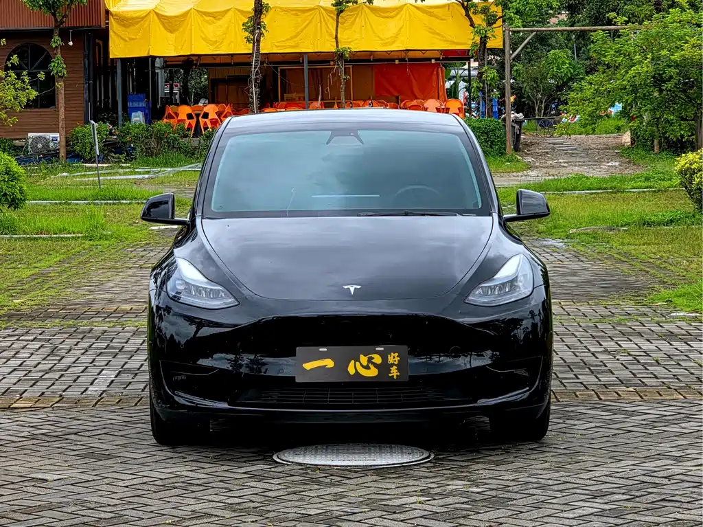 Tesla Model Y — миниатюра 2