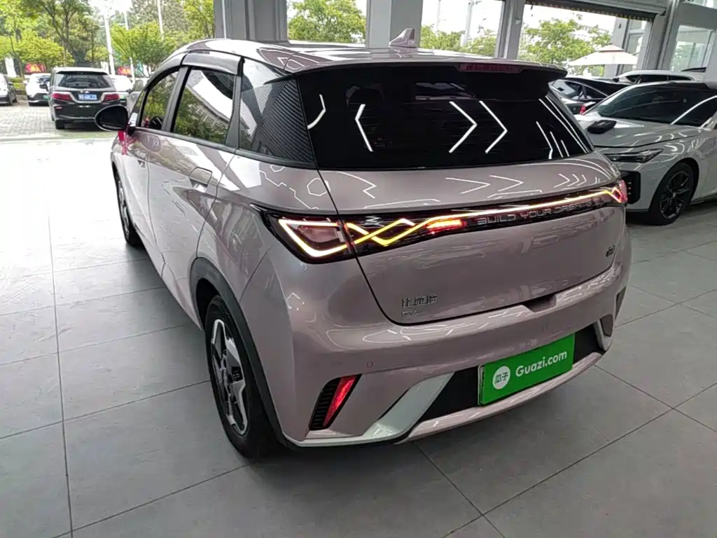 BYD Dolphin - фото 5