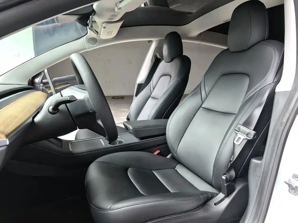 Tesla Model 3 — миниатюра 5
