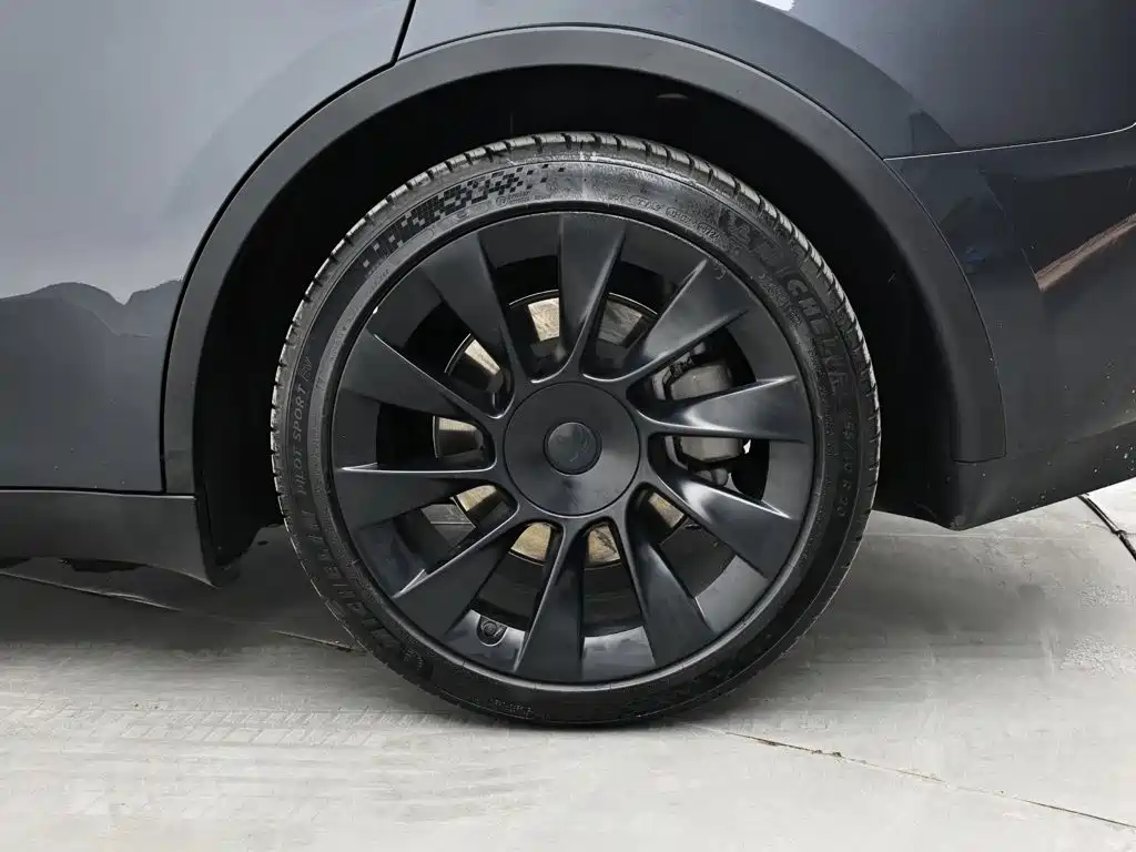 Tesla Model Y — миниатюра 17