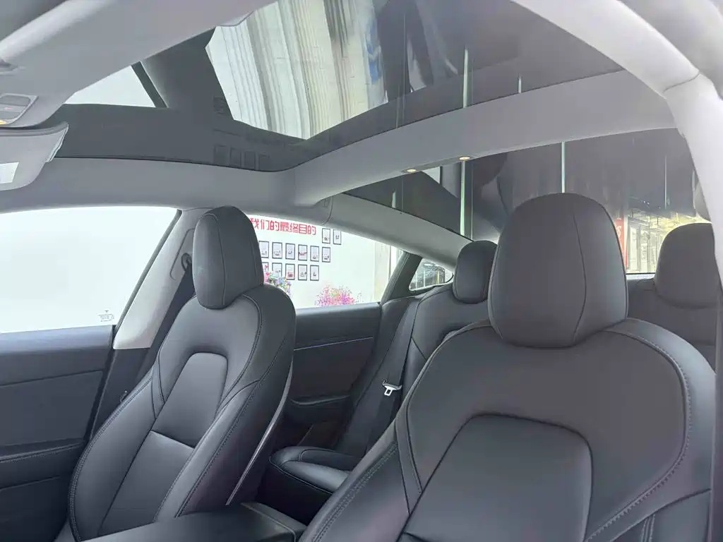 Tesla Model 3 — миниатюра 29