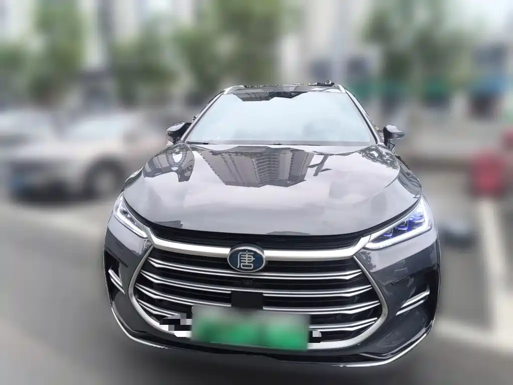 BYD Tang New Energy — миниатюра 2