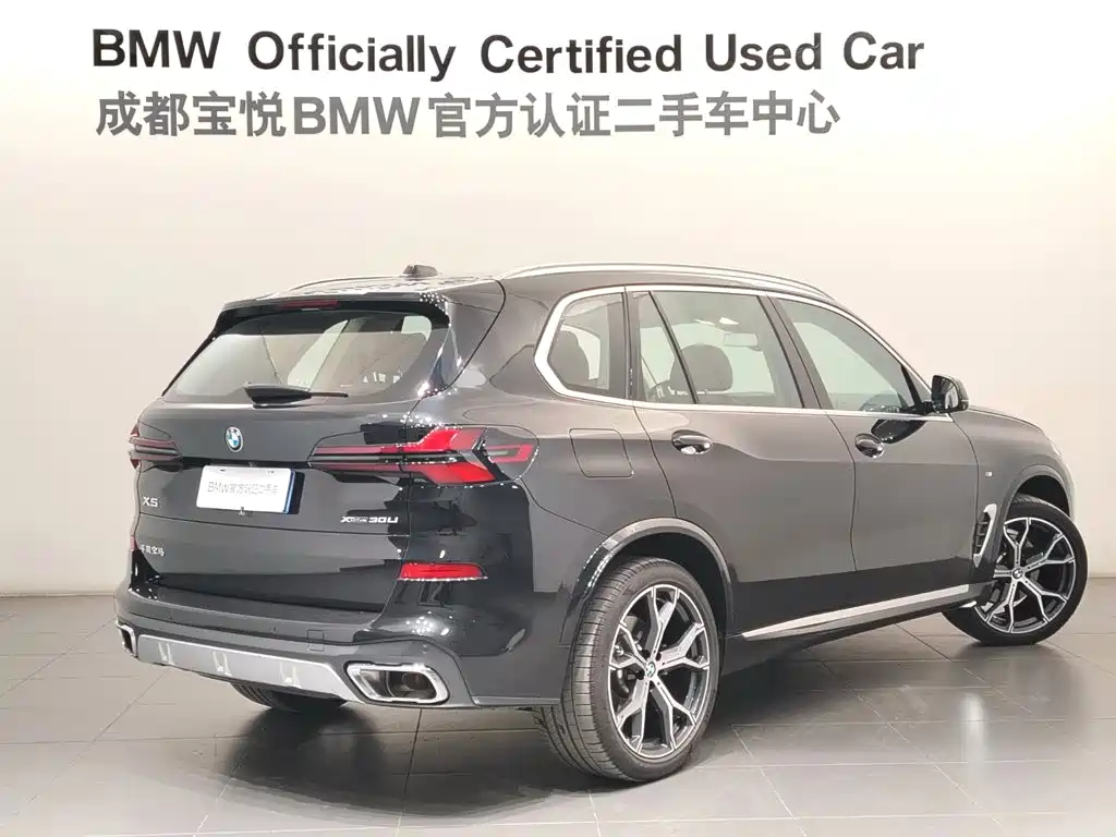 BMW X5 — миниатюра 4