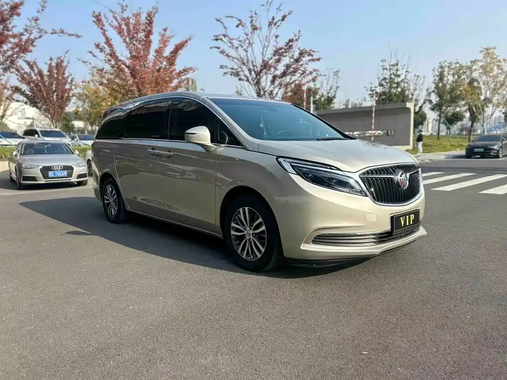Buick GL8 2018 ES 28T Luxury VI