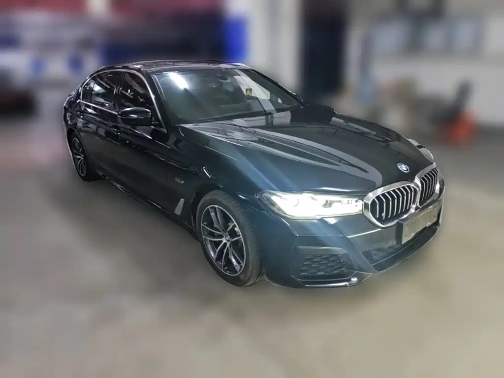 BMW 5 Series New Energy — миниатюра 7