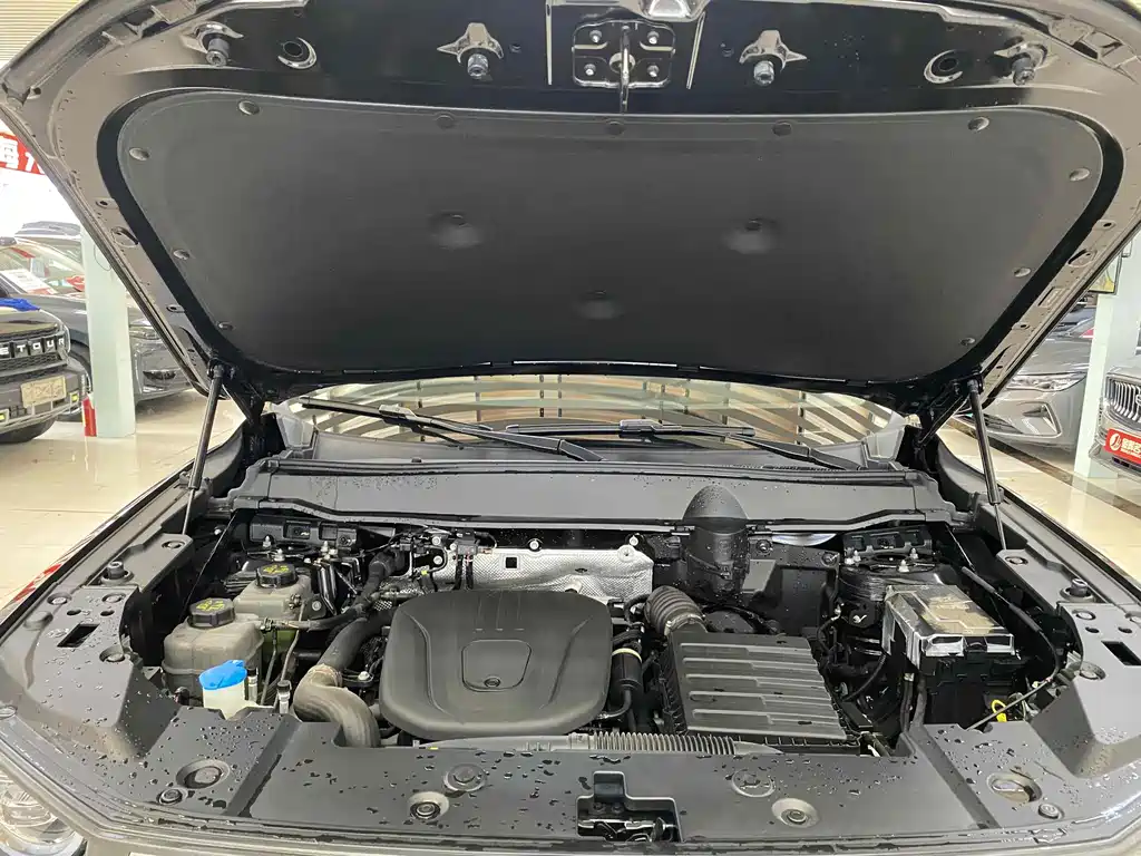 HAVAL  SECOND GENERATION BIG DOG NEW ENERGY