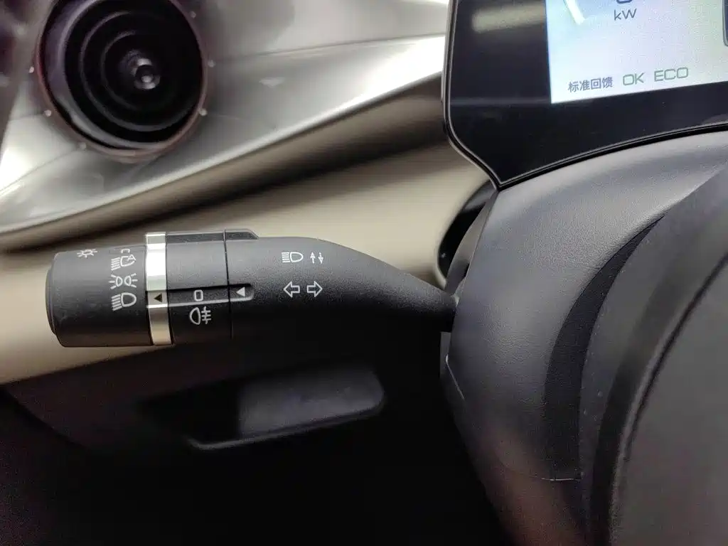 BYD Dolphin — миниатюра 21