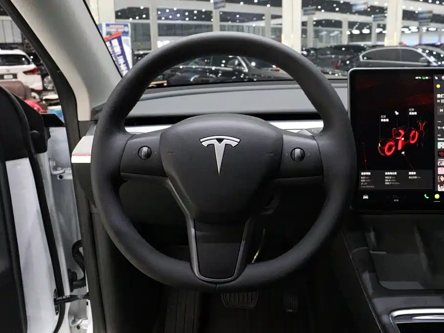Tesla Model Y — миниатюра 13