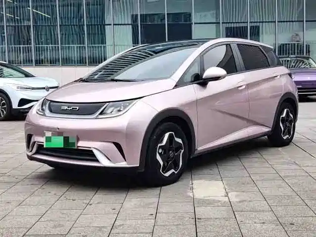 2023 BYD Dolphin