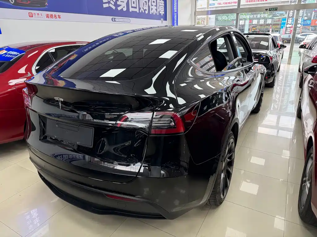 Tesla Model Y — миниатюра 5