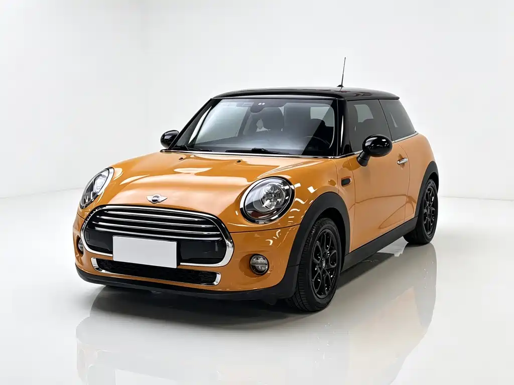 Mini Mini 2015