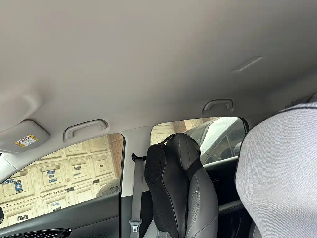 Geely Geome Xingyuan 2026 410km Freedom