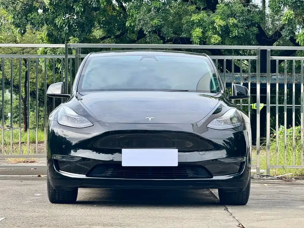 Tesla Model Y — миниатюра 2