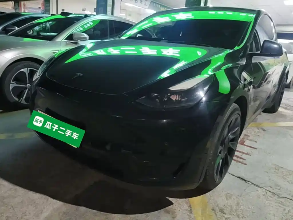 Tesla Model Y — миниатюра 2
