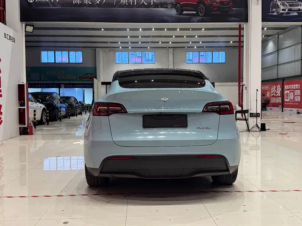 Tesla Model Y — миниатюра 5