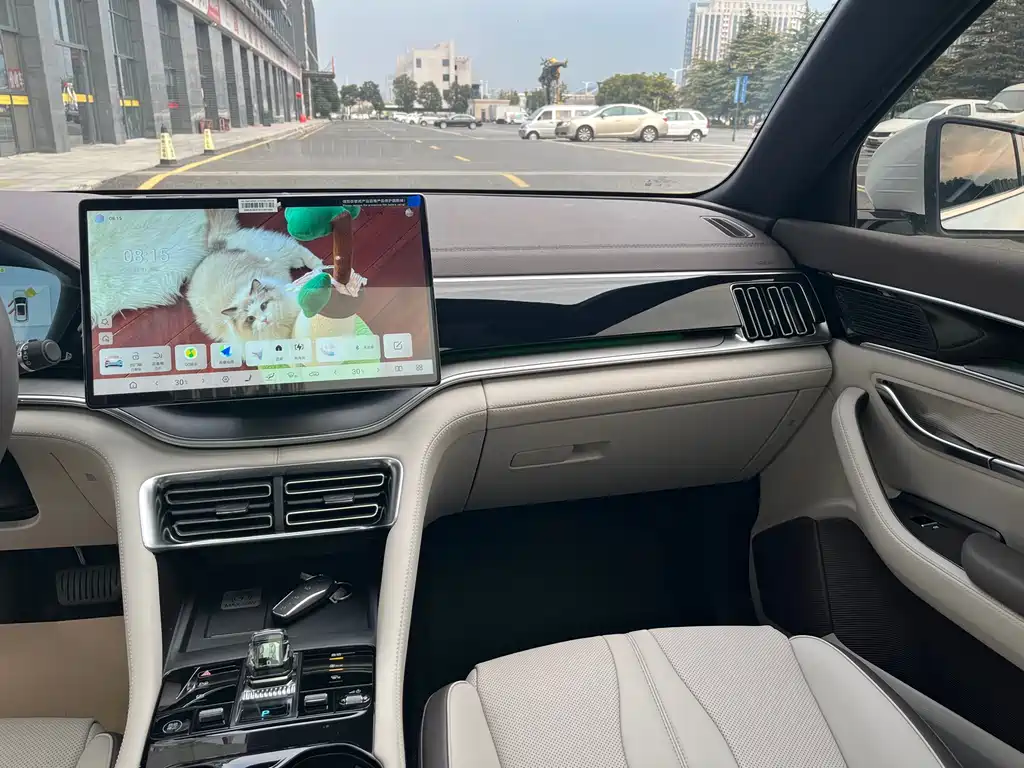 BYD SONGJIANG NEW ENERGY