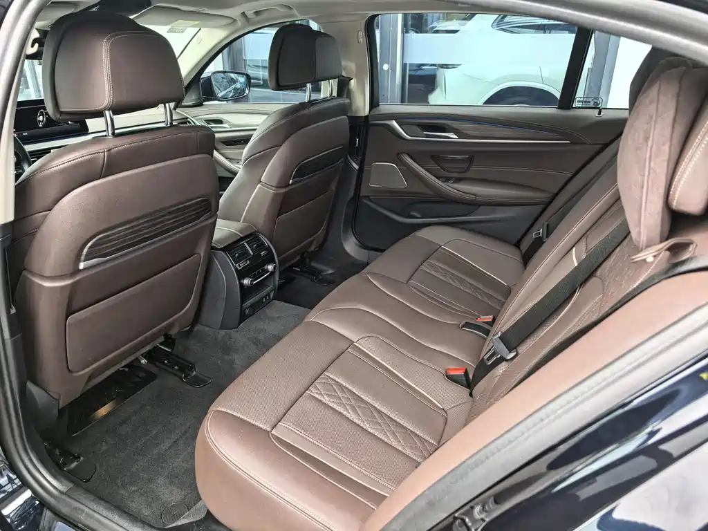 BMW 5 Series 5 2021 530Li Premium Luxury