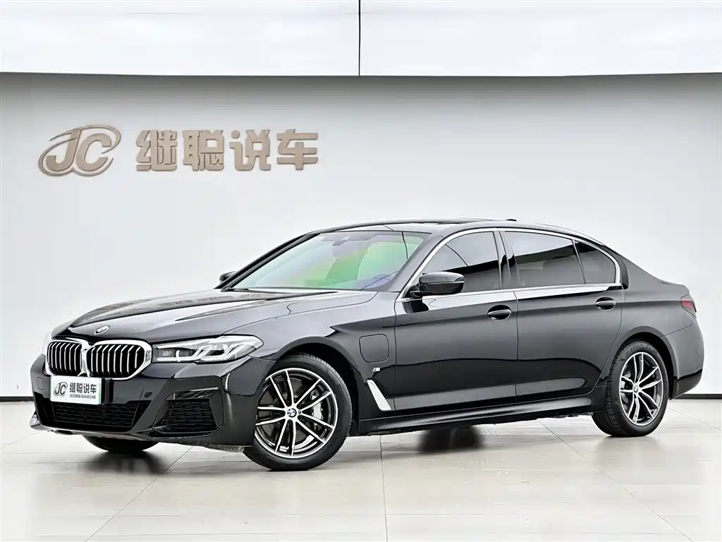 BMW 5 Series New Energy 2021