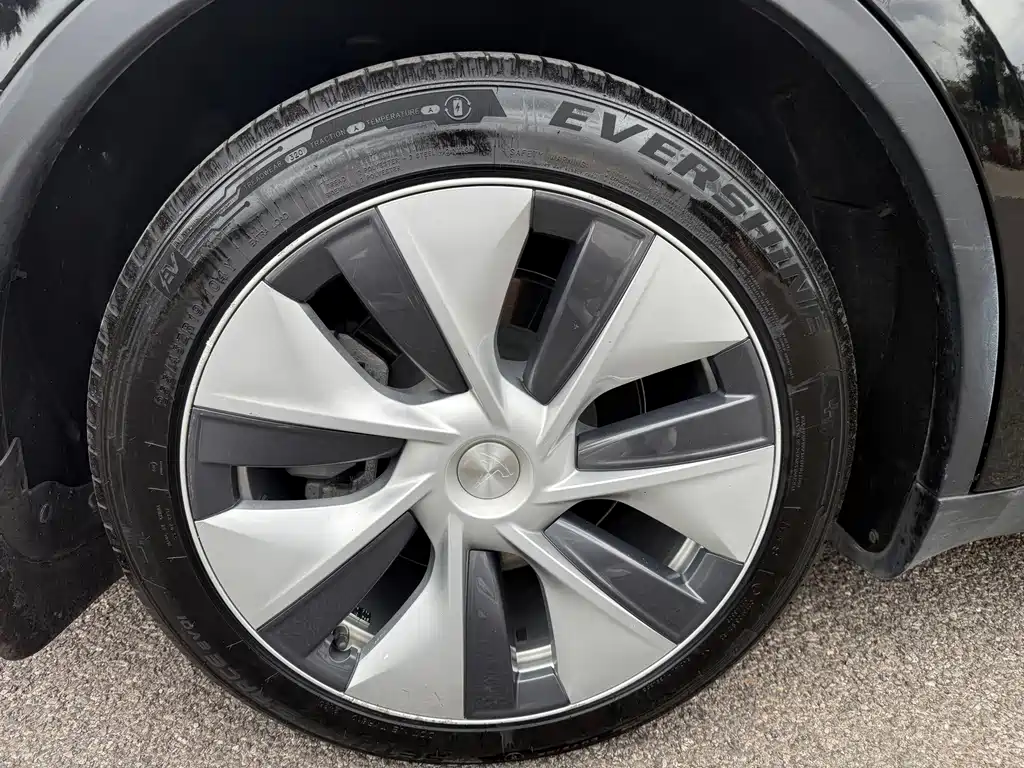 Tesla Model Y — миниатюра 11