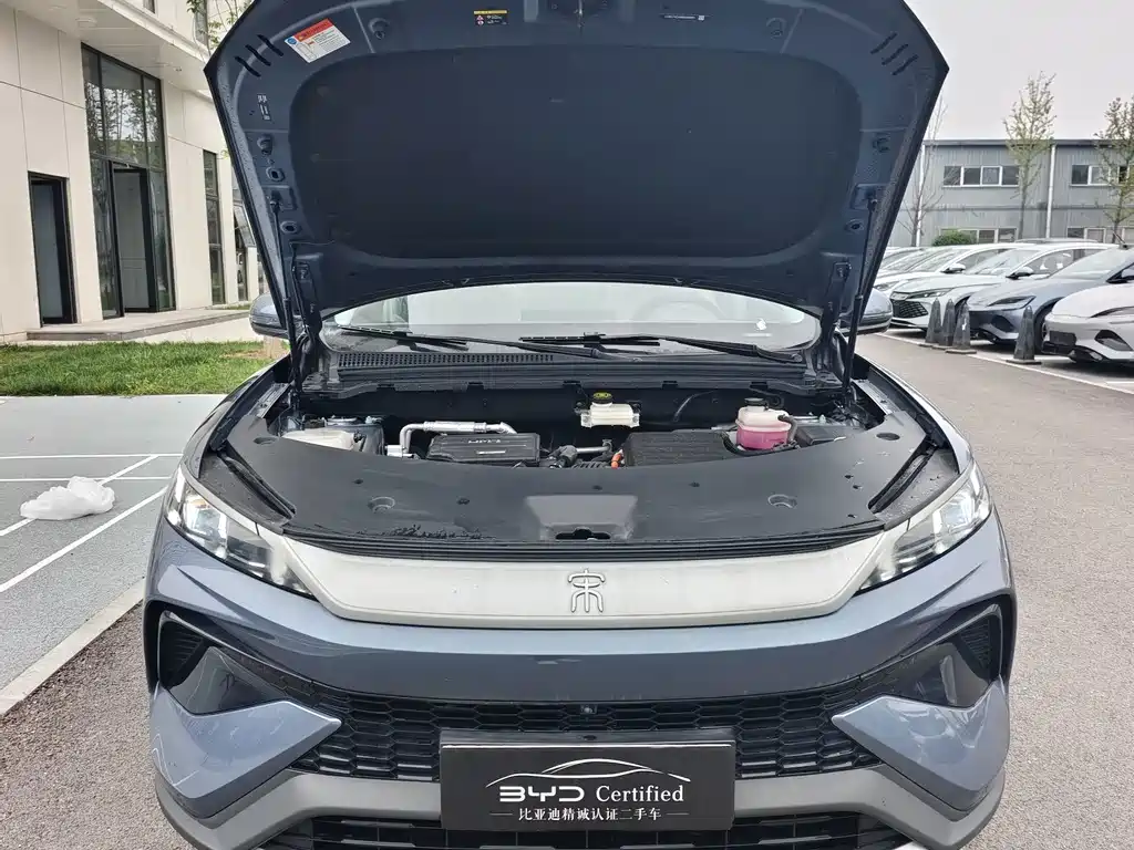 BYD Pro New Energy - фото 2