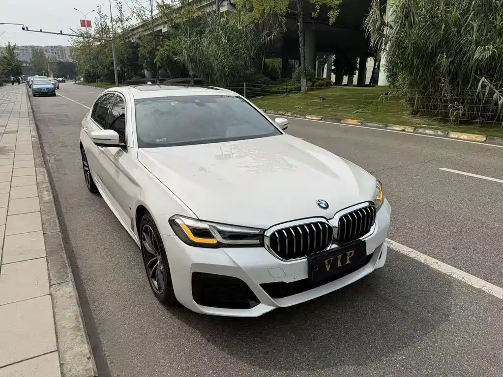 BMW 5 Series — миниатюра 3