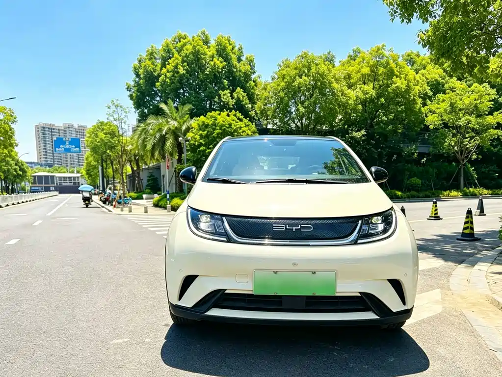BYD Dolphin — миниатюра 2