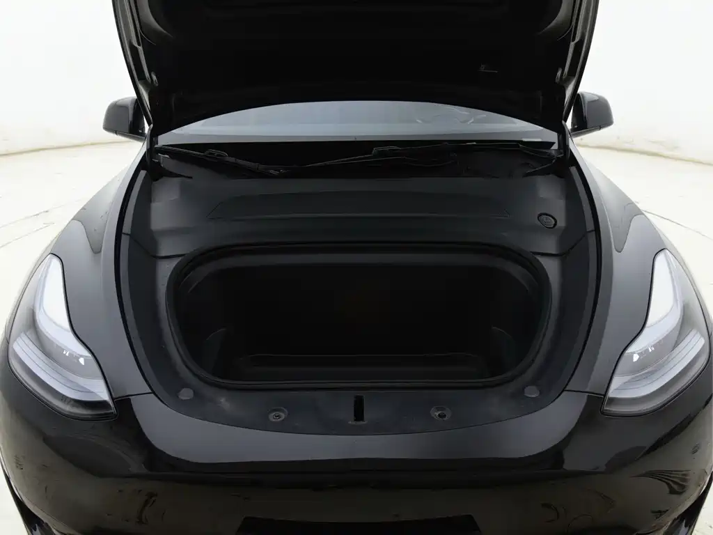 Tesla Model Y — миниатюра 18