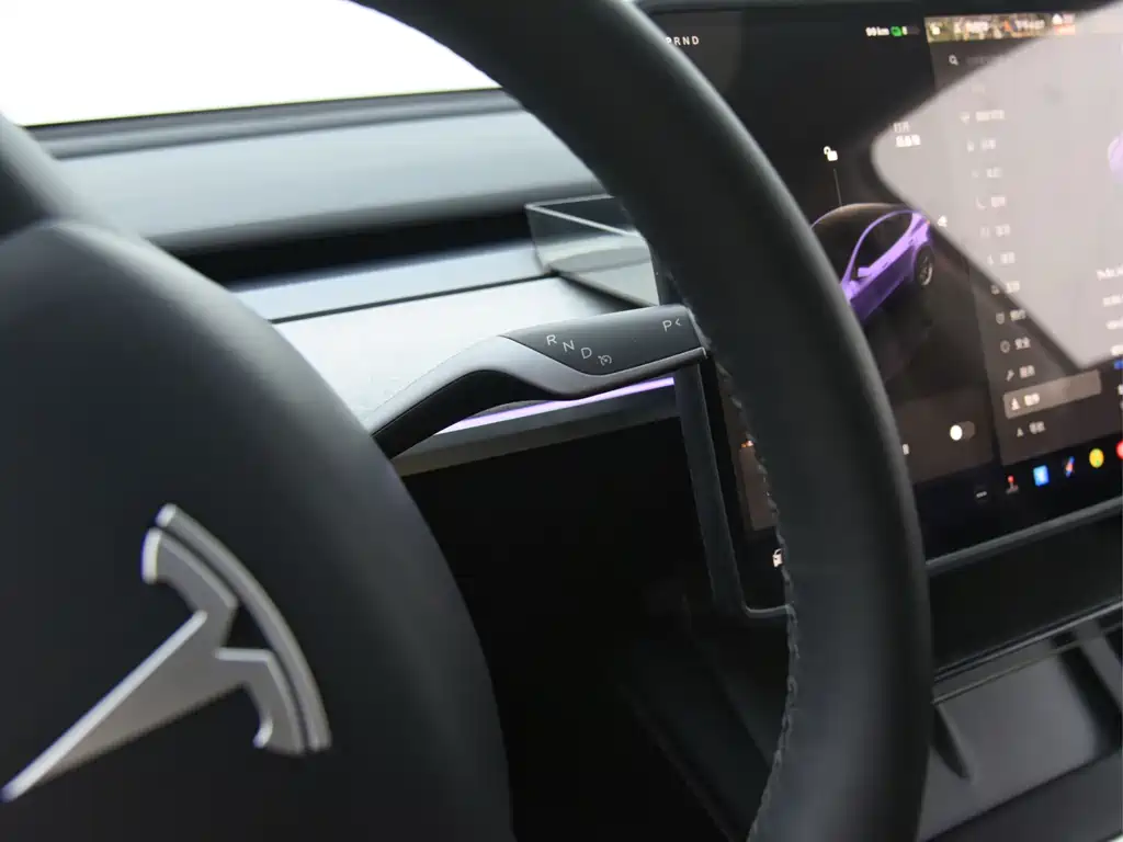Tesla Model Y — миниатюра 23