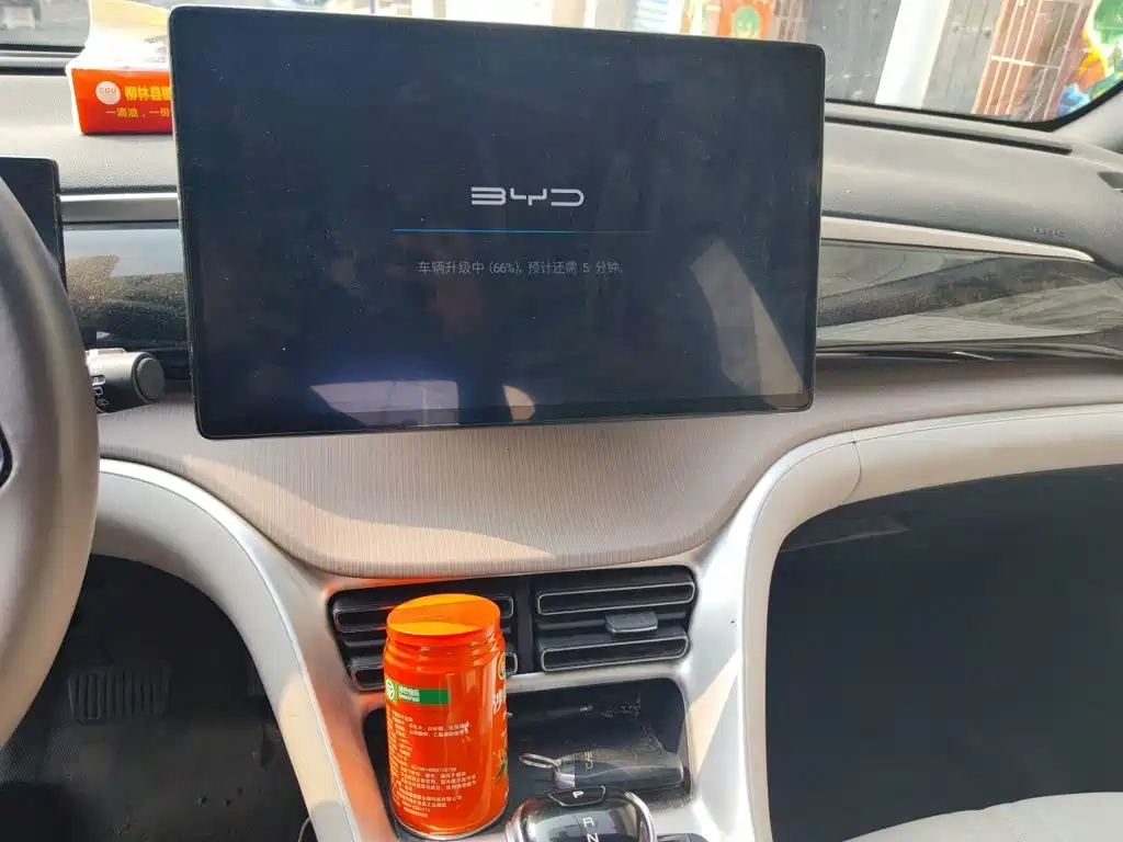 BYD Pro New Energy — миниатюра 14