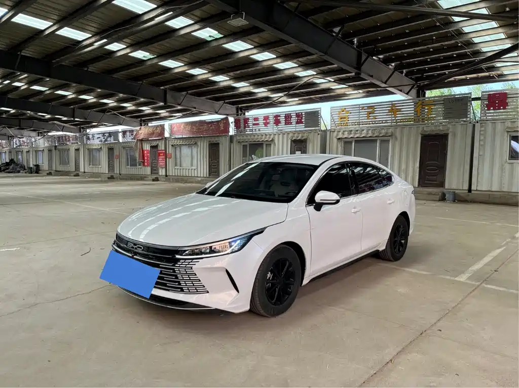 Byd Destroyer 05 2024