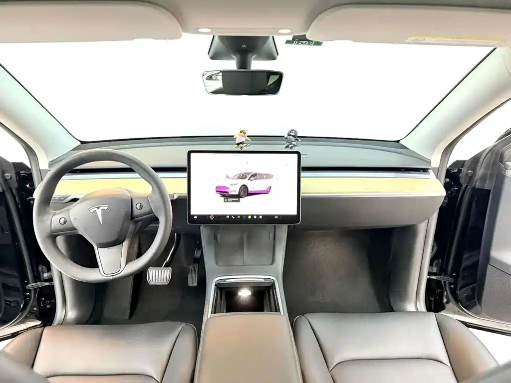 Tesla Model Y — миниатюра 10