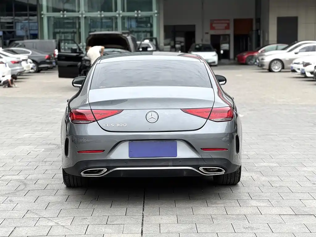 Mercedes-Benz CLS 2020 CLS 300