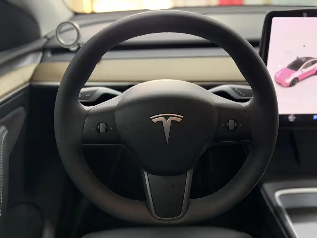 Tesla Model Y — миниатюра 9