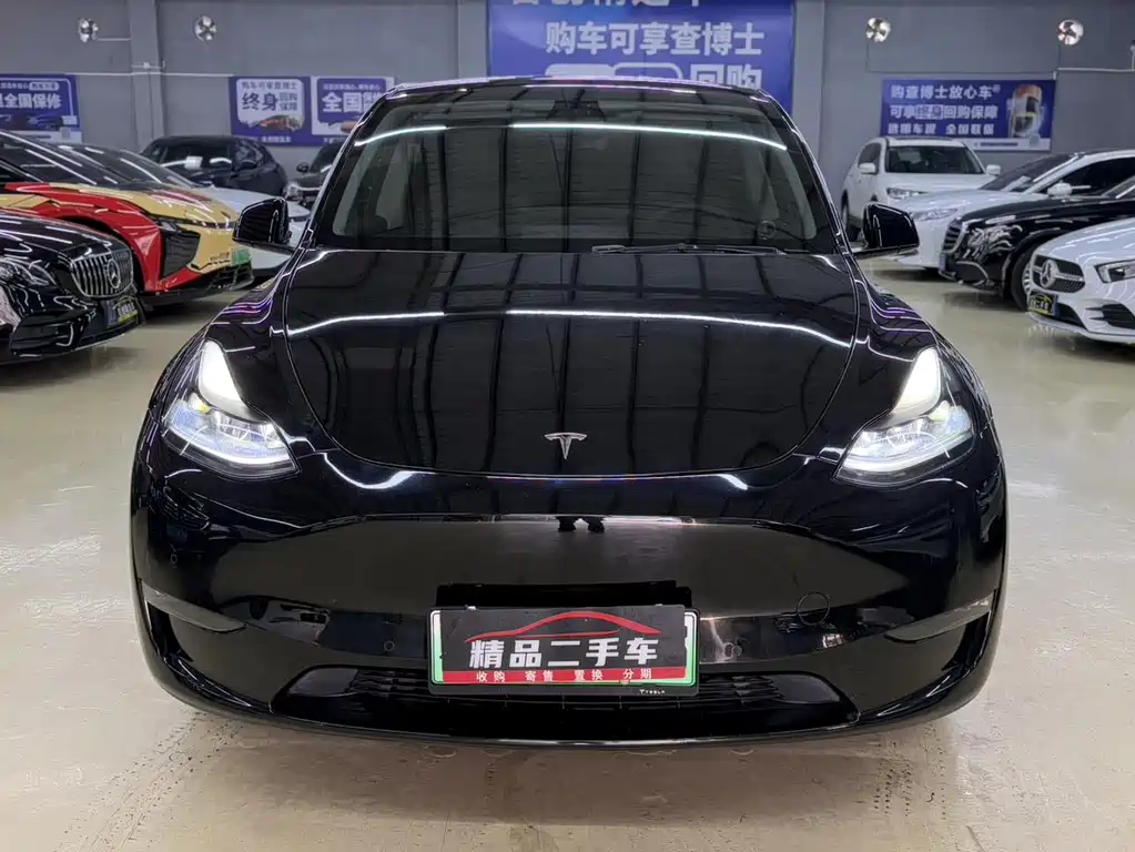 Tesla Model Y — миниатюра 2