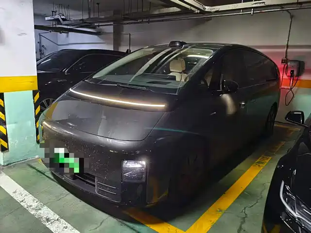 2024 Li Xiang Mega