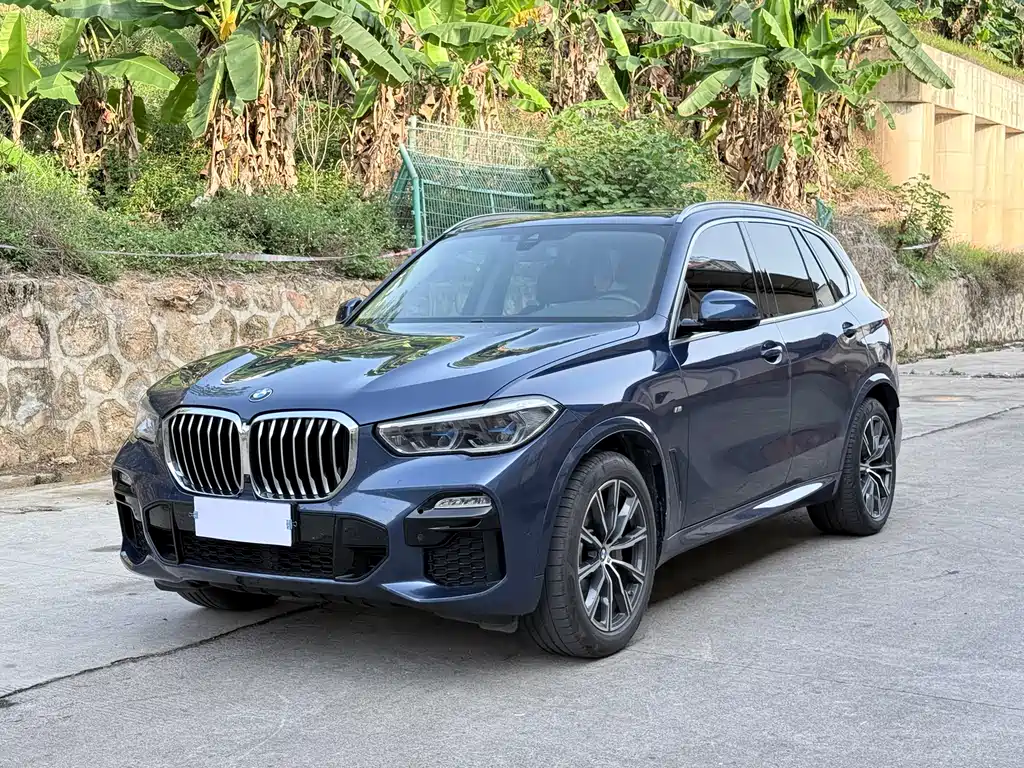 BMW X5 (Import) 2019