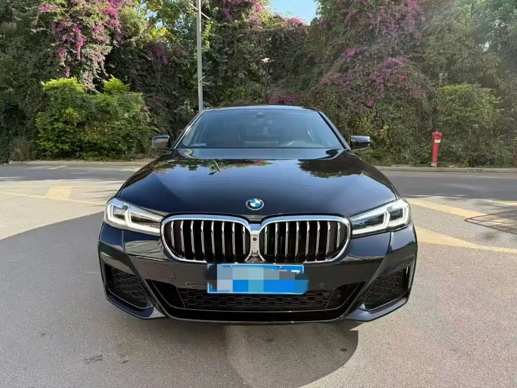 BMW 5 Series — миниатюра 2
