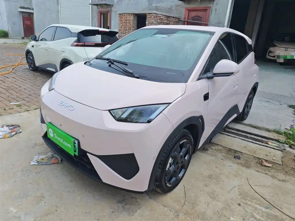 Byd Seagull 2025