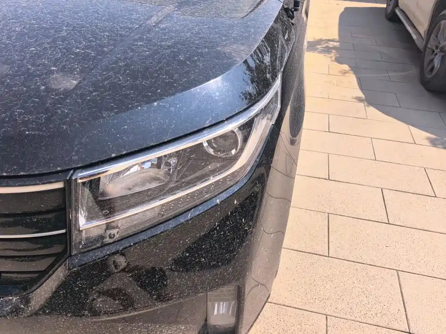 Wuling Zhengcheng — миниатюра 5