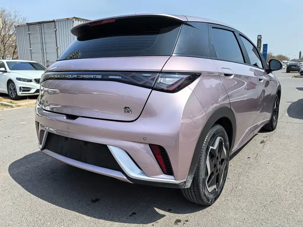 BYD Dolphin — миниатюра 5