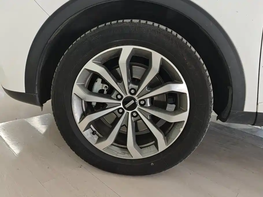 Wey Wey VV6 — миниатюра 6