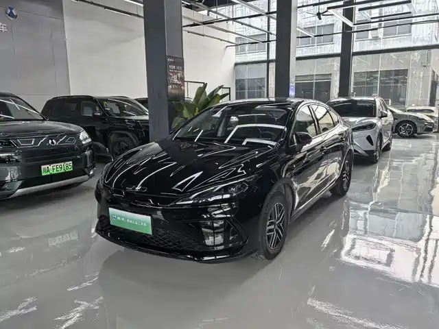 2025 BYD Sea Lion
