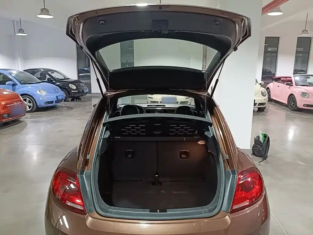 Volkswagen Beetle — миниатюра 19