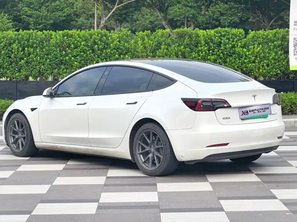 Tesla Model 3 2021 3D6