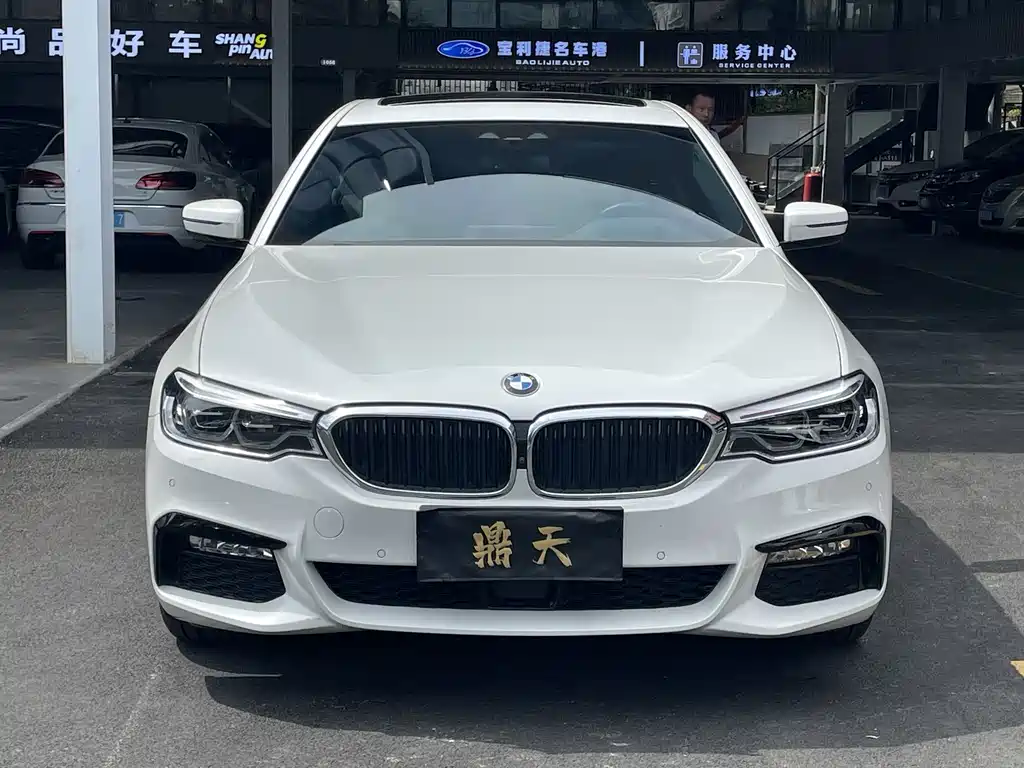 BMW 5 Series 5 2018 530Li Premium M Sport