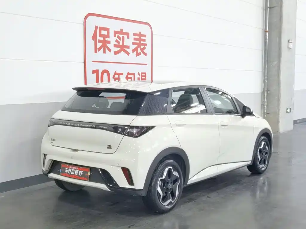 BYD Dolphin 2021 405km Fashion