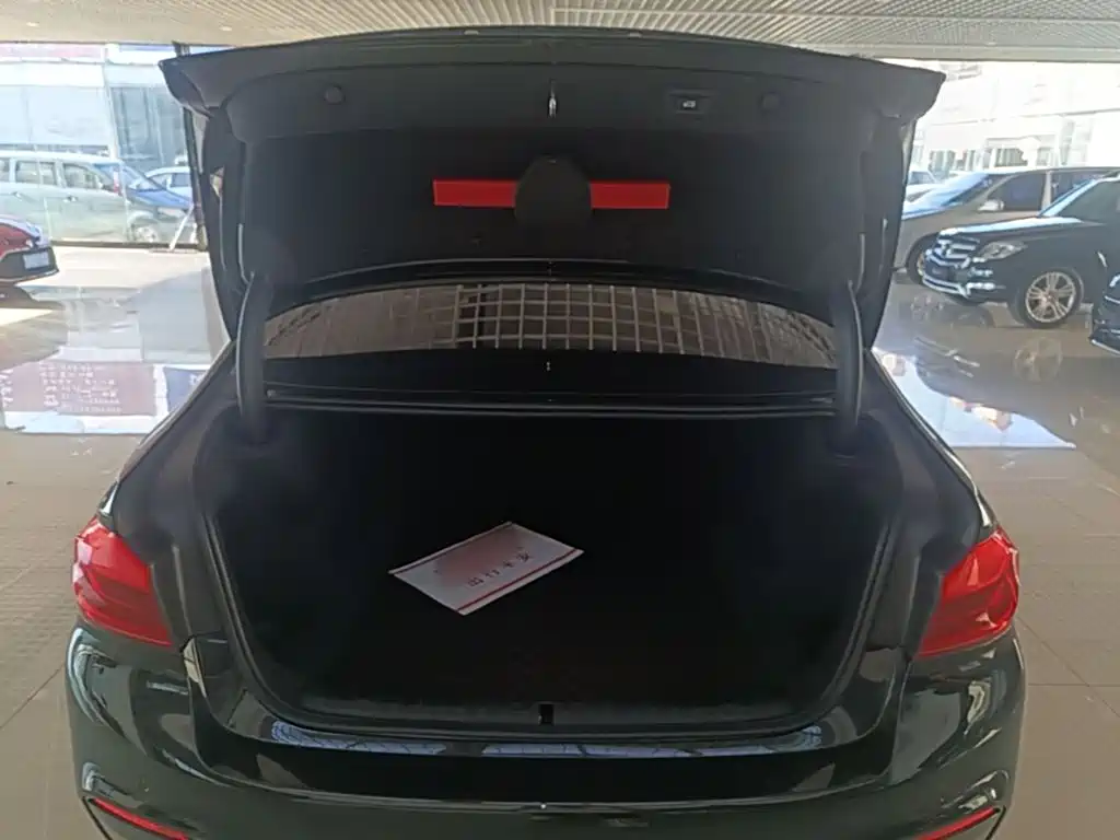 BMW 5 Series — миниатюра 19