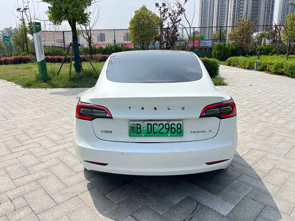 Tesla Model 3 2021 3D6