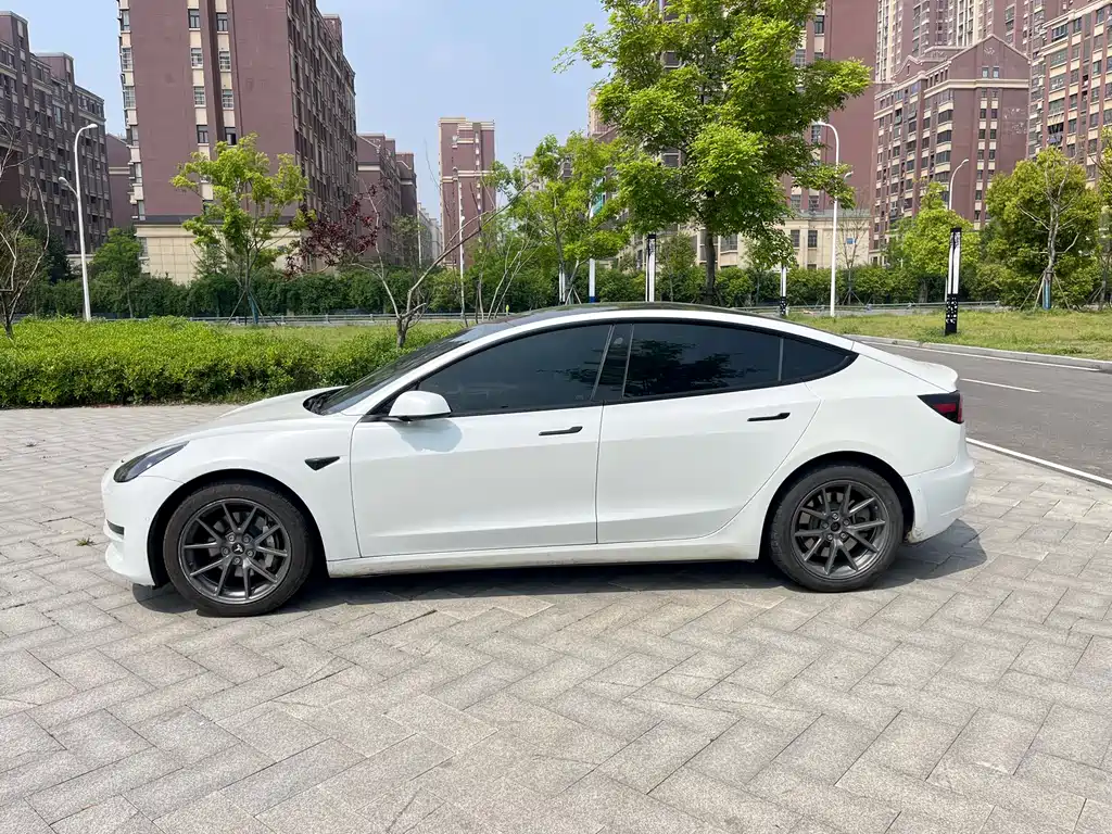 Tesla Model 3 2021 3D6